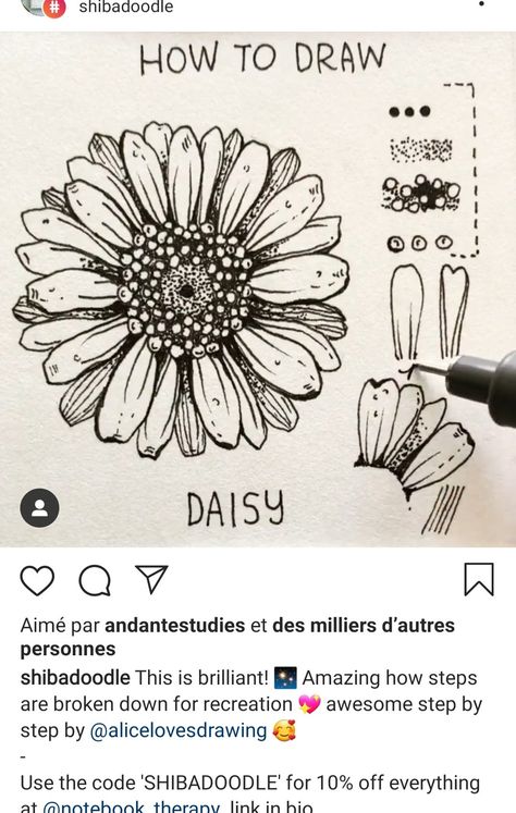 Daisy Drawing Tutorial, Daisy Zentangle, How To Draw A Daisy, Sketchbook Art Inspiration For Beginners, Line Drawing Daisy, Daisy Line Drawing, Daisies Drawing, Line Drawing Tutorial, Flower Pen Drawing