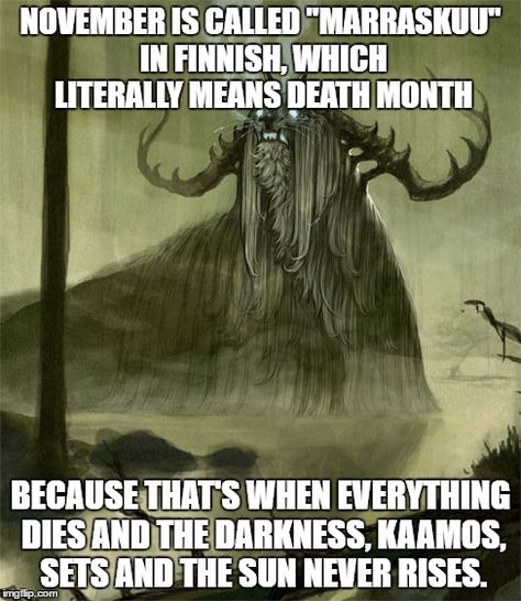 I was born in November - this explains a LOT........ Meanwhile In Finland, Learn Finnish, Finnish Language, Finnish Words, Thinking Of You Today, Norse Myth, Norse Pagan, Funny As Hell, Norse Mythology