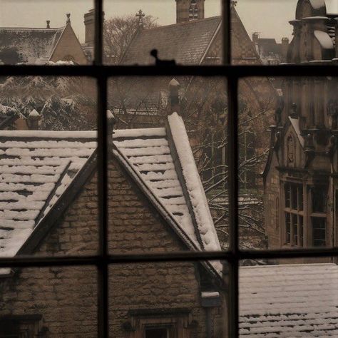 Dark Academia Winter, Dark Acadamia, Chaotic Academia, Hogwarts Aesthetic, Dark Academia Aesthetic, The Secret History, Academia Aesthetic, Brown Aesthetic, Winter Aesthetic