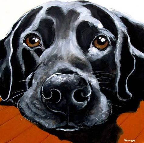 Portraits Pop Art, Labrador Art, Labs Art, German Shorthaired Pointer, Black Lab, Arte Animal, Dog Drawing, Dog Paintings, Watercolor Animals