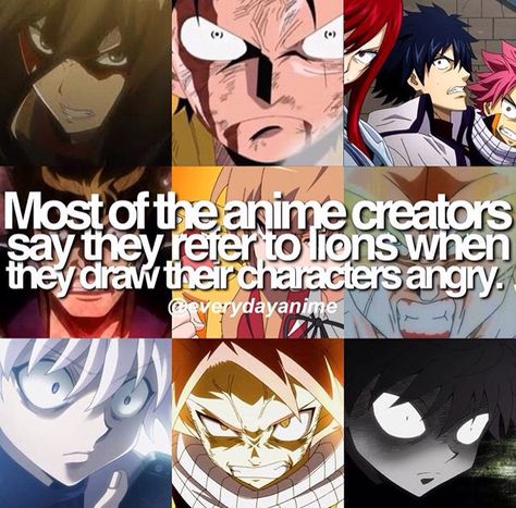 Angry characters and lions, I can see it Anime Facts, Otaku Issues, Anime Rules, Anime Fandom, A Silent Voice, Anime Jokes, Blue Exorcist, Anime Crossover, I Love Anime