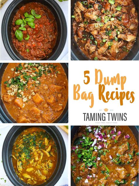 Dump Bag Recipes {Freeze and Go Slow Cooker Meals} Freezer Bag Meals, Slow Cooker Dump, Dump Bags, Slow Cooker Chilli, Taming Twins, Slow Cooker Meal Prep, Slow Cooker Beef Curry, Resep Makanan Beku, Slow Cooker Bolognese