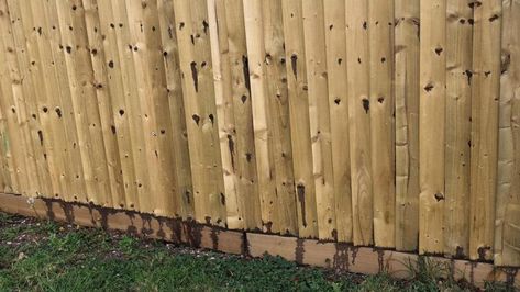 A HOMEOWNER has been left fuming after he erected a fence to give himself a little privacy from the neighbours only to discover they had sabotaged it. Taking to Reddit the man explained that he had encountered some issues with the neighbours when they initially put up the fence, who argued it went into their […] Good Neighbor Fence, Nosey Neighbors, Diy Privacy Fence, Bad Neighbors, Good Neighbor, Privacy Fence, The Fence, Garden Inspiration, Garden Tools