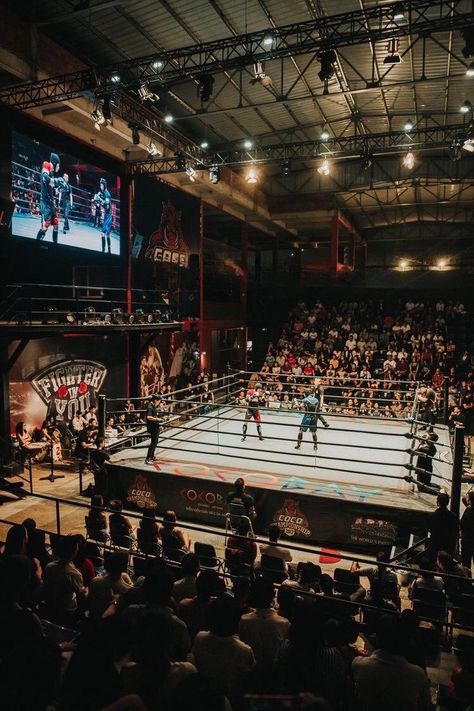 Boxing Aesthetic, Trylogia Hell, Victoria Clark, Boxer Aesthetic, Boxing Rings, Boxe Thai, Boxing Ring, Boxing Match, People Crowd