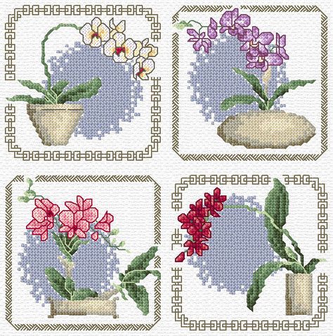 Maria Diaz Designs: ORCHIDS (Cross-stitch chart) Cross Stitch Boards, Beautiful Cross Stitch Pattern, Small Cross Stitch, Cross Stitch Books, Cross Stitch Love, Cross Stitch Heart, Mini Cross Stitch, Stitch Book, Cross Stitch Alphabet