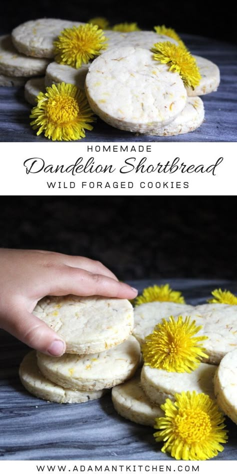 Dandelion Cookies, Resepi Biskut, Edible Flowers Recipes, Wild Food Foraging, Shortbread Recipe, Food Foraging, Foraging Recipes, Foraged Food, Make Cookies