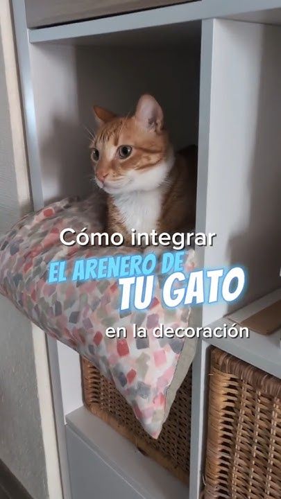 IKEA HACK💡✨Cómo ocultar el arenero de tu gato 🐱 #gato #ikea #cat #viral ...