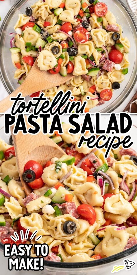 Cold Deli Salads, Tortilini Pasta Salads, Tortalini Pasta Salads, Tortellini Recipes Salad, Italian Pasta Salad Recipes, Easy Tortellini Pasta Salad, Thanksgiving Pasta, Tri Color Pasta Salad, Italian Dressing Pasta Salad