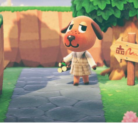 Acnh Aesthetic Villagers, Bea Animal Crossing, Acnh Fauna, Acnh Villagers, Cottagecore Animal Crossing, Cozy Games, Animal Crossing Characters, Acnh Ideas, Animal Crossing Villagers