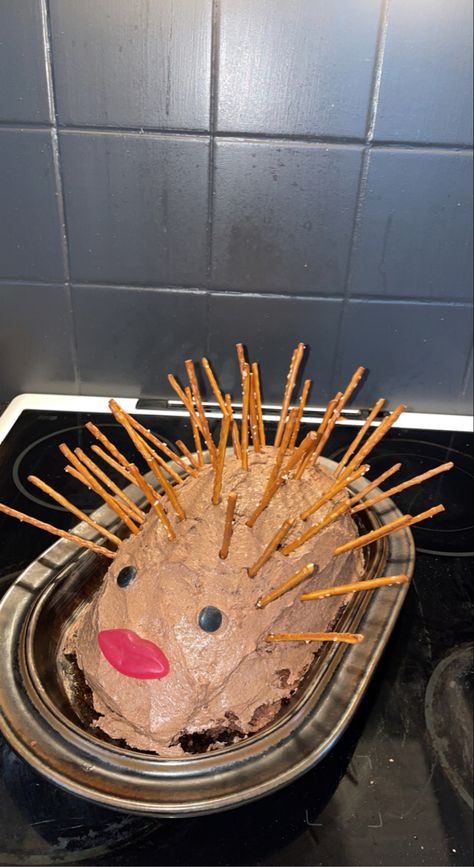 Ugly hedgehog cake 16th Bday Cake, Hedgehog Birthday Cake, Lol Cake, Hedgehog Cake, Cake Fails, Hedgehog Birthday, A Hedgehog, You Smile, Make You Smile