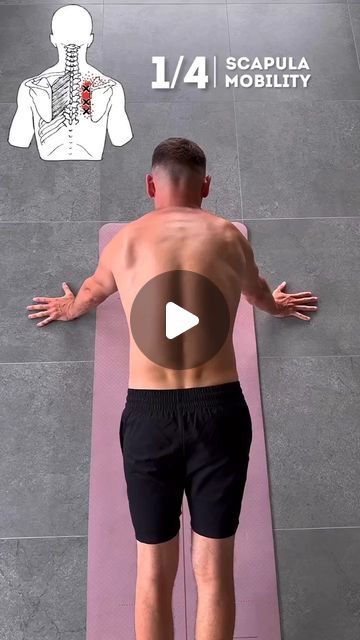 grow_calisthenics01 on Instagram: "4 exercises for back pain and scapula mobility 💪🏼 @makarin Do these exercises regularly for 20 repetitions. Liked the video - like, save and share with friends #back #backpain #workout #scapula #fitness #exercise #pilates" Scapula Mobility, Backpain Workout, Scapula Pain, Scapula Exercises, Exercises For Back Pain, Exercise Pilates, Exercises For Back, Back Pain Exercises, Back Exercises