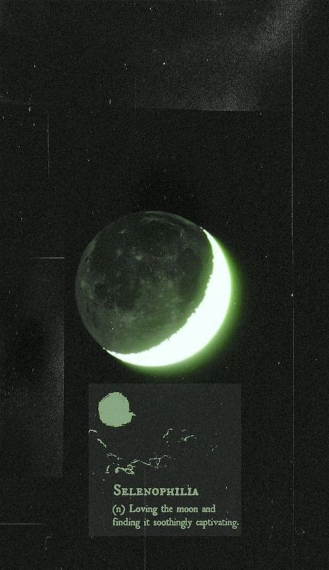 Green Moon Wallpaper Aesthetic, New Moon Aesthetic Wallpaper, Sage Green And Gold Background, Green And Gold Wallpaper Aesthetic, Mooncore Wallpaper, Moon Homescreen Wallpaper, Phone Backgrounds Moon, Moon Green Aesthetic, Green Moon Wallpaper