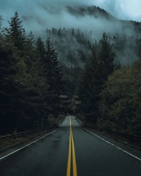 Moody | Forest Photography (@moodylandscape) • Instagram photos and videos Moody Forest, Countryside Vacation, Mt Rainier, Visit Scotland, Travel Channel, Forest Photography, Seaside Getaway, Beach Camping, Nature Reserve