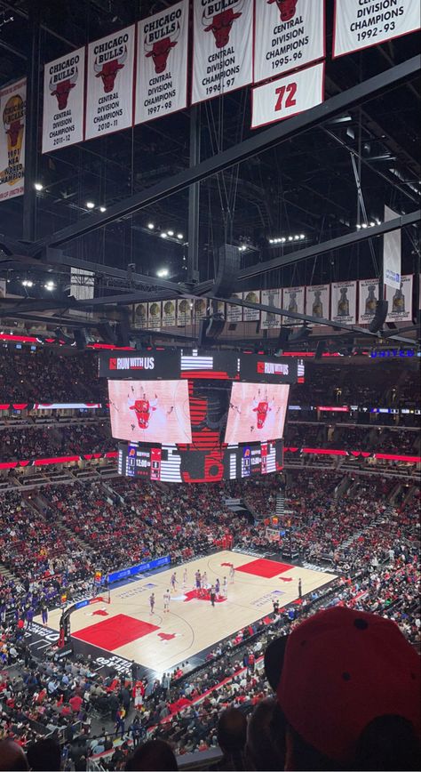 American Basketball Aesthetic, Basketball Arena Aesthetic, College Basketball Aesthetic, Chicago Bulls Aesthetic, Ryan Shay, Indy Ivers, Benny The Bull, Nba Arenas, Nba Bulls