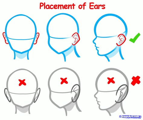 Ear placement. Anime Ears, How To Draw Ears, How To Draw Anime, Anime Tutorial, Anime Head, Body Drawing Tutorial, 얼굴 그리기, Draw Anime, Guided Drawing