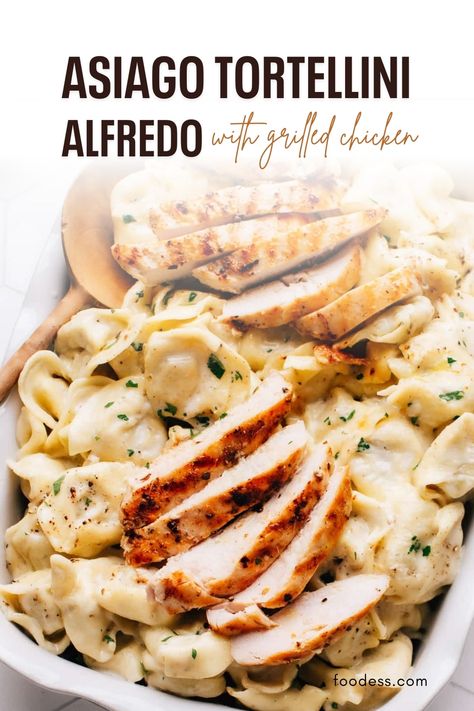 This Asiago Tortelloni Alfredo with Grilled Chicken recipe is a creamy dream come true! Plump cheese-stuffed tortelloni is tossed in a rich, indulgent Alfredo sauce made with heavy cream, butter, and Asiago cheese, resulting in a comforting and satisfying Italian pasta dish. Skip the baking with this Olive Garden dupe that features a quick spice rub and store-bought tortelloni. It is perfect for quick weeknight dinners or special occasions. Find the recipe and video tutorial on my blog now! Asiago Recipes, Tortellini Alfredo, Grilled Chicken Recipe, Italian Pasta Dishes, Asiago Cheese, Cream Butter, Cheese Stuffed, Spice Rub, Asiago