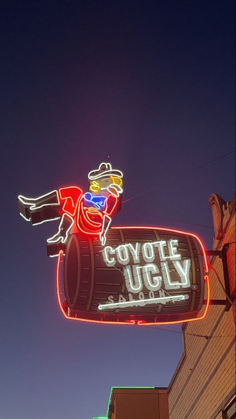 Texas Bar Aesthetic, Rodeo Clown Aesthetic, Coyote Ugly Aesthetic, Hippy Cowboy, Cowpoke Aesthetic, Coyote Ugly Bar, 90s 00s Movies, Cowgirl Era, Mason Dixon Line