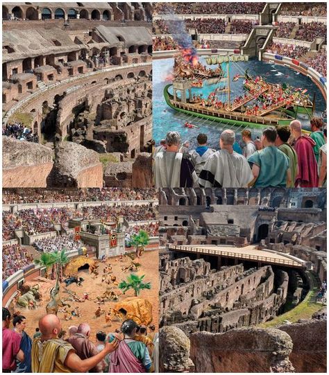 Roman Gladiators, Ancient Roman Architecture, World Mythology, Roman City, Architecture History, Empire Romain, Roman Architecture, Ancient Warfare, Roman History