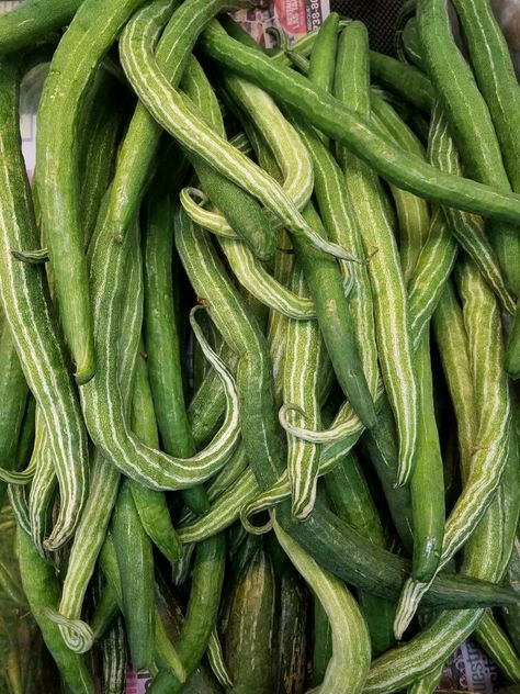 Snake gourd, Chinese okra Snake Gourd, Okra, Gourds, Cucumber, Zucchini, Courgettes