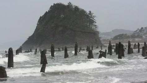 Oregon Gothic, Pnw Gothic, Coastal Gothic, Pacific Northwest Gothic, Northwest Gothic, Neskowin Oregon, Regional Gothic, Ghost Forest, Oxenfree