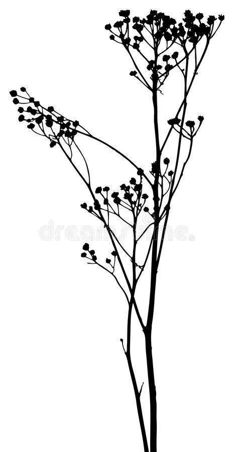 Plant Sillouhette, Plant Silhouette Art, Plants Silhouette, Botanical Silhouette, Plant Silhouette, Leaves Silhouette, Flowers Silhouette, Doodle Art Flowers, Wreath Illustration