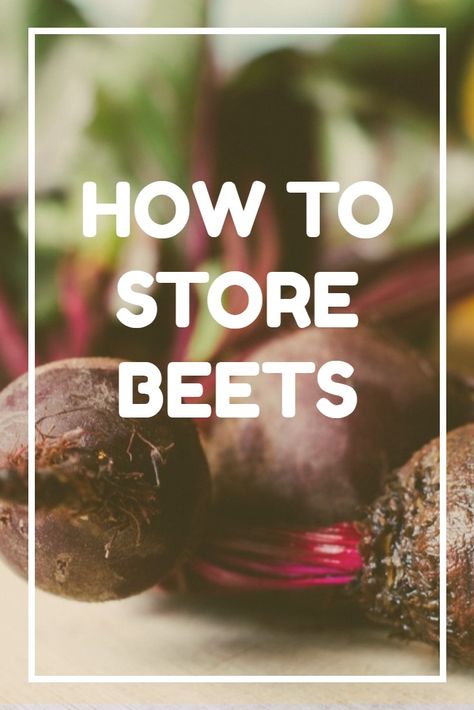 Don't let your beets go off - preserve them properly and they'll last for months. In this article I talk you through some of the best ways to store and preserve beetroot and their relatives at home - especially useful if you're a gardener. How To Store Beets For The Winter, How To Store Beets In Fridge, How To Preserve Beetroot, Preserving Beetroot, How To Store Beets, Pine Shavings, Beetroot Recipes, Seed Starter Kit, Storing Vegetables