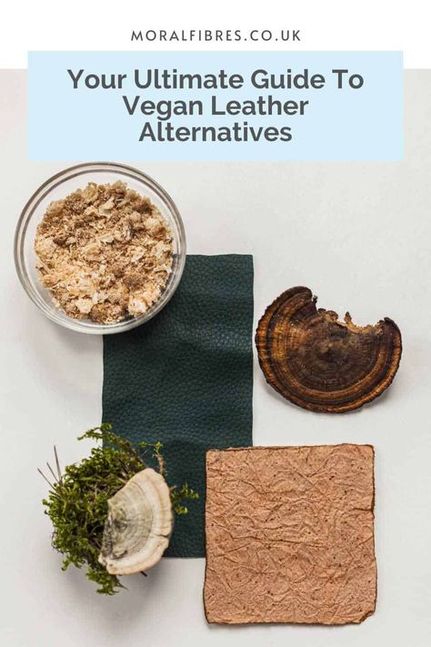 Two samples of plant-based leather - one green and one brown - next to mushrooms and a blue text box that reads your ultimate guide to vegan leather alternatives. Sustainable Alternatives, Pineapple Leather, Faux Leather Outfits, Eco Cleaning, Healthy Body Healthy Mind, Blue Text, Cellulose Fiber, Sustainable Leather, Eco Gifts