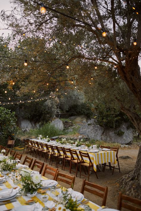 Lucy Williams Got Married in an Olive Grove on a Greek Island | Vogue Lucy Williams, Old Mansion, Olive Grove, Greek Wedding, Mansions Homes, Wedding Dinner, Greek Island, Backyard Wedding, Chic Wedding