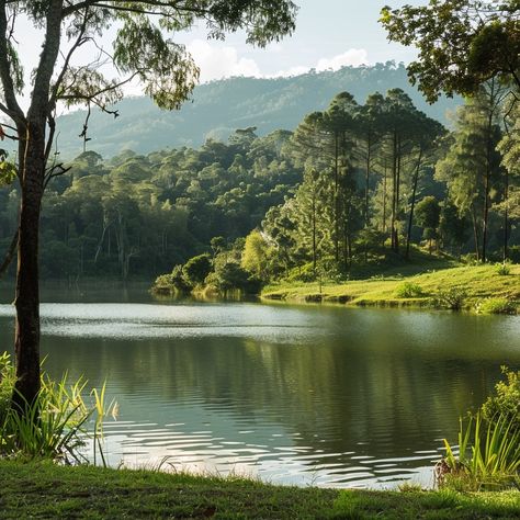 Unveiling the Serene Lakes of Magoroto Forest Discover the tranquil beauty of the serene lakes nestled within Magoroto Forest, Tanzania's hidden gem. This lush escape offers a perfect blend of mountainous forest scenery and pristine water bodies ideal for relaxation and recreation. Visitors can enjoy activities like swimming, fishing, or kayaking in these calm, clear waters surrounded by the rich greenery of the forest. The peaceful environment, coupled with the chirping of diverse bird spec... Forest Scenery, Peaceful Environment, Water Bodies, Hidden Gem, Clear Water, Tanzania, The Forest, Kayaking, Album Covers