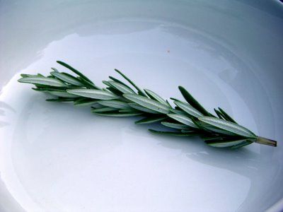 the accidental scientist: Rosemary is for Remembrance How To Use Rosemary For Memory, Fallen Rosemary, Rosemary For Remembrance, Pagan Inspiration, Shakespeare Hamlet, Witch House, A Symbol, Memorial Service, Celebration Of Life