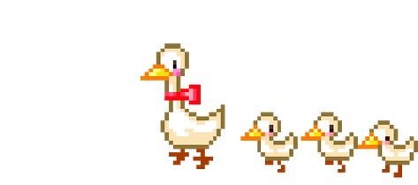 Animated Duck, Duck Animation, Duck Gif, Pixel Background, Transparent Gif, Walking Gif, Gifts Banner, Bear Gif, Windows Wallpaper