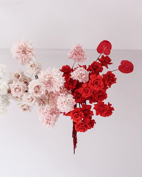 M A D E L I N E  A N N E’s Instagram profile post: “Red & pink dreaming ♥️ . . . . . . . . . . . . #hangingflowers #hanginginstallation #ombreflowers #pinkandred #pinkandredflowers…” Red And Pink Wedding Flowers, Blush Wedding Palette, Red Pink Wedding, Wedding Ideas Pink, Wedding Flowers Red, Red And Pink Wedding, Makeup Minimalist, Pink Wedding Ideas, Colour Clash