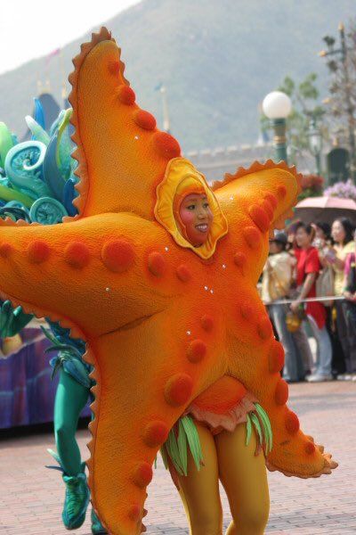 Starfish Costume, Under The Sea Costumes, Finding Nemo Costume, Sea Creature Costume, Cabaret Costume, Sea Costume, Diva Party, Fish Costume, Inflatable Costumes