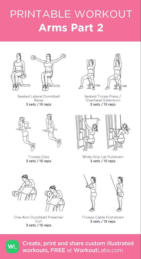 Arm Workouts Gym, Arm Day Gym, Beginners Gym Workout, Beginners Gym Workout Plan, Upper Body Workout Gym, Workout Female, Gym Program, Workout Labs, Workouts Women