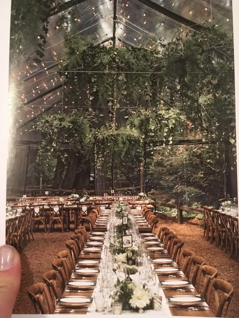 Whimsical Enchanted Forest Wedding, Forest Wedding Reception, Cartagena Wedding, Aisle Planner, Forest Wedding Venue, Twilight Wedding, Forest Theme Wedding, Earthy Wedding, Enchanted Forest Wedding