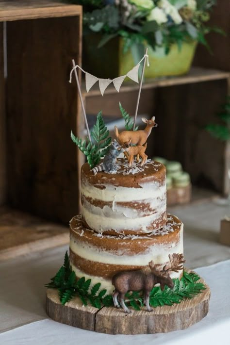 Forest Theme Cake, Woodland Theme Baby, Woodland Cake, Baby Shower Woodland Theme, Woodland Birthday, Safari Birthday, Baby Shower Winter, Shower Food, Woodland Theme