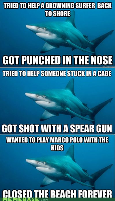 Misunderstood Shark Misunderstood Shark, Shark Meme, Sharks Funny, Dump A Day, Shark Week, In The Ocean, Laughing So Hard, Om Nom, Bones Funny