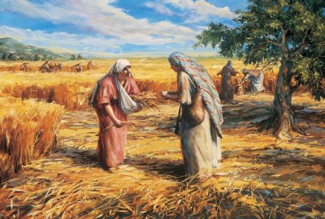 New Testament Come Follow Me Ruth Bible Study, Ruth Bible, Ruth And Naomi, Lds Seminary, Book Of Ruth, Bible Pictures, Scripture Study, Book Of Mormon, Relief Society