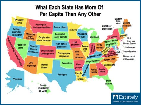 Map Shows What Each State Has More of Than Any Other  Did you know that? (scheduled via http://www.tailwindapp.com?utm_source=pinterest&utm_medium=twpin&utm_content=post80553957&utm_campaign=scheduler_attribution) Funny Maps, First Year Teachers, Holiday Music, U.s. States, State Map, Us Map, Things To Know, Wyoming, Morning Routine