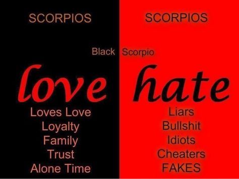 Scorpio Scorpio Woman Personality, Zodiac Mind Scorpio, Scorpio Queen, Scorpio Personality, Zodiac Quotes Scorpio, Scorpio Art, Astrology Scorpio, Scorpio Traits, Scorpio Love