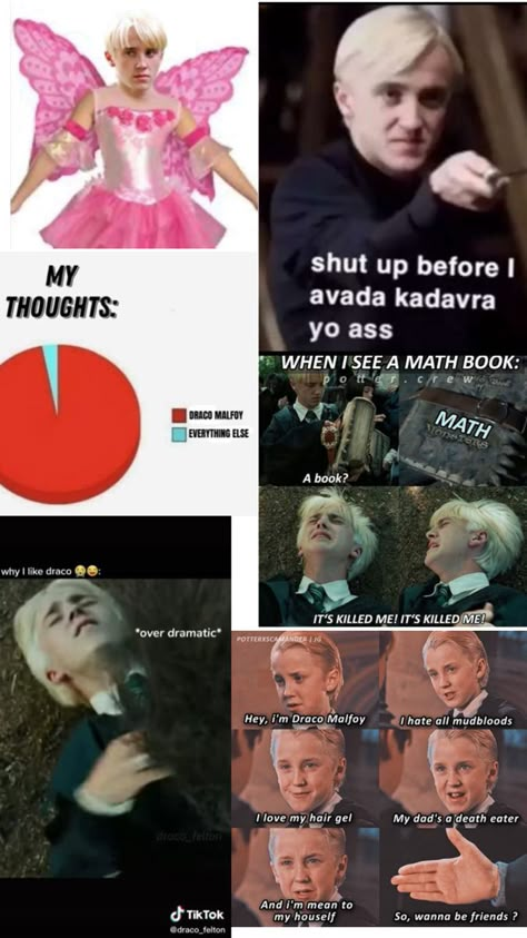 Draco Malfoy Memes, Harry Potter Fan Theories, Draco Malfoy Funny, Your A Wizard Harry, Harry Potter Funny Pictures, Harry Potter Pov, Slytherin Wallpaper, Aesthetic Harry Potter, Draco Malfoy Hot