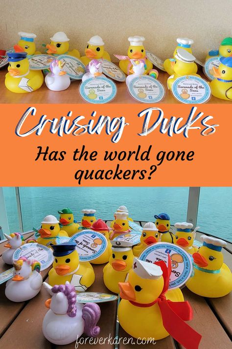 Cruising ducks is a hide and seek game which passengers play on a cruise ship. One person hides a duck, and a stranger finds it. The finder is asked to “keep or hide,” you decide. Learn how to participate, where to purchase ducks, and how to personalize a tag. Rubber Duck Cruise Tags, Cruise Rubber Ducks Tags, Cruise Ducks Ideas, Cruise Ducks Tags, Cruising Ducks Tags, Cruse Ship, Cruising Duck Tags, Cruise Ducks, Carnival Cruise Tips