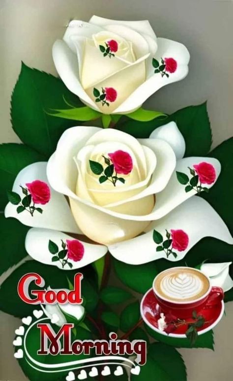 What Makes Us Human, Good Morning Rose Images, Good Morning Gift, Good Morning Posters, Good Morning Wishes Gif, Good Morning Message, Good Evening Greetings, Good Morning Flowers Rose, Morning Rose