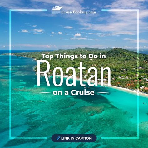 If you are keen to enjoy a cruise holiday, the Port of Roatán is one of the preferred stops for cruisers. So, get ready to experience Roatán's silky white sand and glowing turquoise blue for recreational moments and candid photos. #roatan #honduras #centralamerica #cruisebooking Roatan Honduras Cruise Port, Roatan Honduras, Cruise Holidays, Roatan, Cruise Port, White Sand, Central America, Honduras, Turquoise Blue