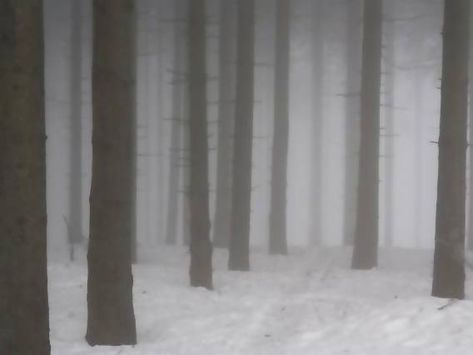 Ice World Aesthetic, Creepy Snow Aesthetic, Snow Liminal Space, Winter Liminal Space, Liminal Background, Snow Background Aesthetic, Liminal Snow, Winter Forest Aesthetic, Dust Aesthetic