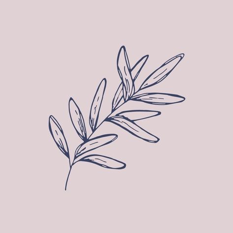 Line Art Icons, Garden Cactus, Plant Icon, Sage Leaf, Color Wallpaper Iphone, Sage Leaves, Leaf Drawing, Feminine Tattoos, Ios Icon