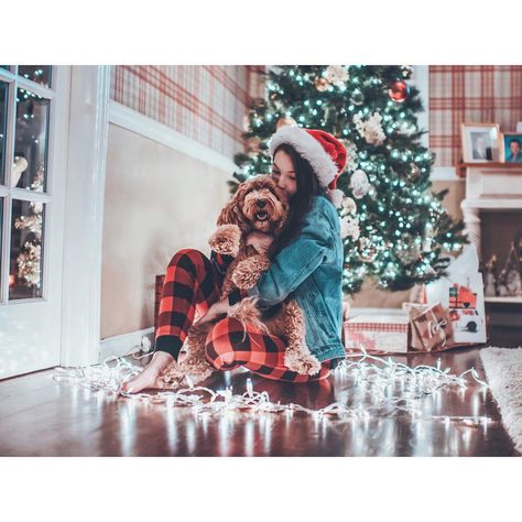 1.8m Followers, 1,191 Following, 1,256 Posts - See Instagram photos and videos from Brandon Woelfel (@brandonwoelfel) Dog Christmas Photos, Dog Christmas Pictures, Xmas Photos, Photos With Dog, Christmas Shoot, Dog Photoshoot, Family Shoot, Foto Tips, Christmas Photography