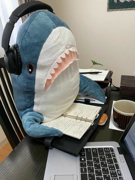 Stuffed Shark, Coffee