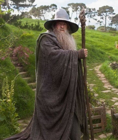 Gandalf the Grey Ian Mckellen Gandalf, Gandalf The White, Gandalf The Grey, Say Her Name, The Hobbit Movies, Ian Mckellen, Thranduil, Jrr Tolkien, Gandalf