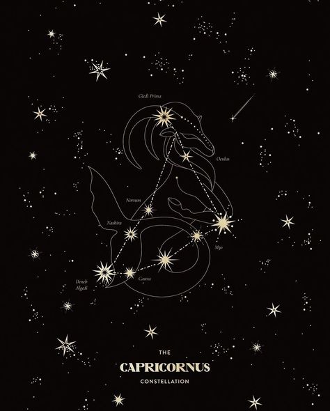 Zodiac Art Capricorn, Capricorn Wallpaper, Capricorn Symbol, Headboard Art, Capricorn Aesthetic, Capricorn Art, Capricorn Constellation, Capricorn Tattoo, Wallpaper Wa